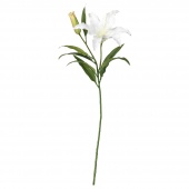картинка СМИККА Цветок искусственный, лилия, белый, 85 см от магазина Wmart