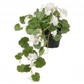 картинка FEJKA ФЕЙКА Искусственное растение в горшке - д/дома/улицы Герань/подвесной белый 12 см от магазина Wmart