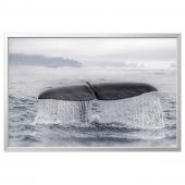 картинка BJÖRKSTA БЬЁРКСТА Картина с рамой - хвост кита/цвет алюминия 118x78 см от магазина Wmart