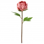 картинка СМИККА Цветок искусственный, Пион, темно-розовый, 30 см от магазина Wmart