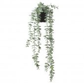 картинка ФЕЙКА Искусственное растение в горшке, д/дома/улицы подвесной, эвкалипт, 9 см от магазина Wmart