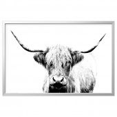 картинка BJÖRKSTA БЬЁРКСТА Картина с рамой - Шотландская корова/цвет алюминия 118x78 см от магазина Wmart