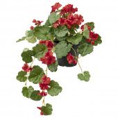 картинка FEJKA ФЕЙКА Искусственное растение в горшке - д/дома/улицы Герань/подвесной красный 12 см от магазина Wmart