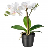 картинка ФЕЙКА Искусственное растение в горшке, Орхидея белый, 9 см от магазина Wmart