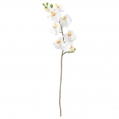 картинка СМИККА Цветок искусственный, Орхидея, белый, 60 см от магазина Wmart