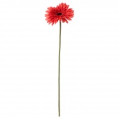 картинка СМИККА Цветок искусственный, Гербера, красный, 50 см от магазина Wmart