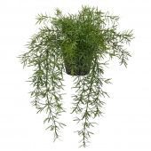 картинка FEJKA ФЕЙКА Искусственное растение в горшке - д/дома/улицы Аспарагус/подвесной 12 см от магазина Wmart