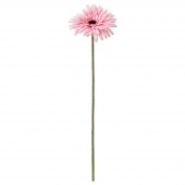 картинка СМИККА Цветок искусственный, Гербера, розовый, 50 см от магазина Wmart