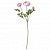 картинка СМИККА Цветок искусственный, лютик, розовый, 52 см от магазина Wmart