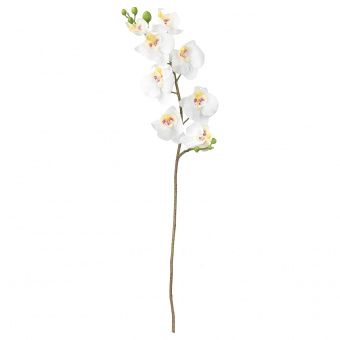 СМИККА Цветок искусственный, Орхидея, белый, 60 см