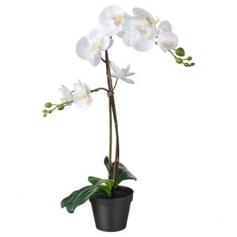 ФЕЙКА Искусственное растение в горшке, Орхидея белый, 12 см
