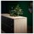 картинка ПИННАРП Столешница, ясень, шпон, 246x3.8 см от магазина Wmart