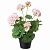 картинка ФЕЙКА Искусственное растение в горшке, д/дома/улицы, Герань розовый, 12 см от магазина Wmart