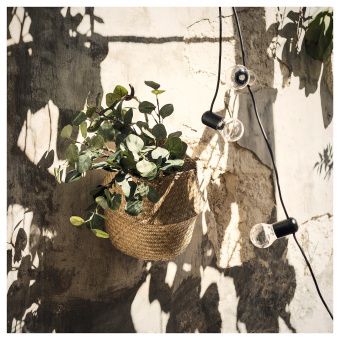 СМИККА Искусственный листок, эвкалипт, зеленый, 65 см