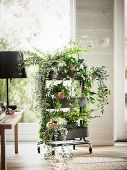 картинка ФЕЙКА Искусственное растение в горшке, д/дома/улицы папоротник, 15 см от магазина Wmart