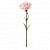 картинка СМИККА Цветок искусственный, гвоздика, розовый, 30 см от магазина Wmart