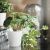 картинка ФЕЙКА Искусственное растение в горшке,3шт, д/дома/улицы зеленый, 6 см от магазина Wmart