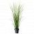картинка FEJKA ФЕЙКА Искусственное растение в горшке - трава 17 см от магазина Wmart