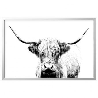 картинка BJÖRKSTA БЬЁРКСТА Картина с рамой - Шотландская корова/цвет алюминия 118x78 см от магазина Wmart