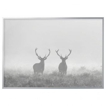 картинка БЬЁРКСТА Картина с рамой, Олени в тумане, цвет алюминия, 200x140 см от магазина Wmart