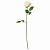 картинка СМИККА Цветок искусственный, Роза, белый, 52 см от магазина Wmart