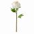 картинка СМИККА Цветок искусственный, Пион, белый, 30 см от магазина Wmart
