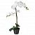 картинка ФЕЙКА Искусственное растение в горшке, Орхидея белый, 12 см от магазина Wmart