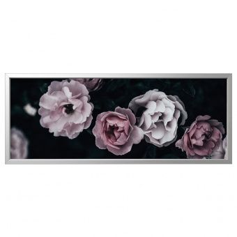 картинка BJÖRKSTA БЬЁРКСТА Картина с рамой - Розовые лепестки/цвет алюминия 140x56 см от магазина Wmart
