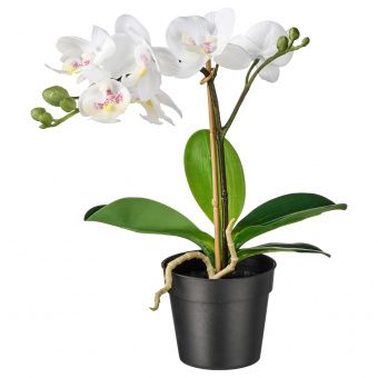 ФЕЙКА Искусственное растение в горшке, Орхидея белый, 9 см